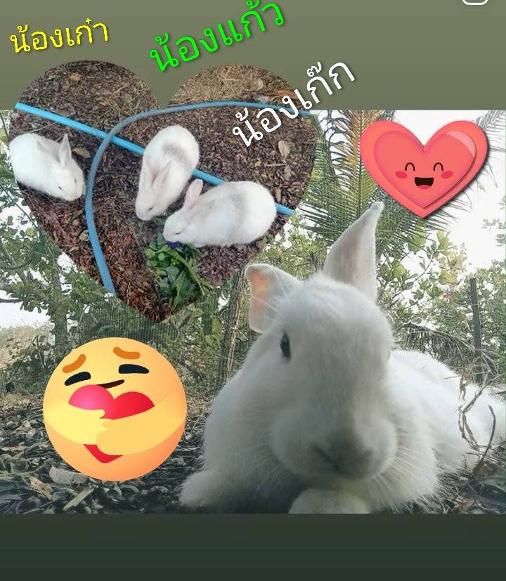 แบบฝึกอ่านคำไทยที่มักเขียนผิด
